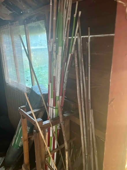 Photo of free Garden canes (Southborough TN4) #1