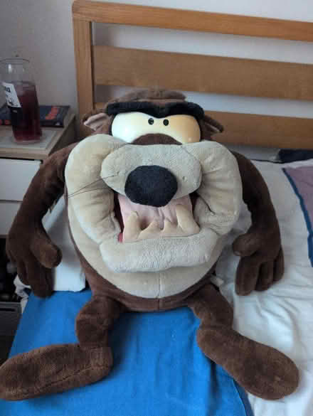 Photo of free Tasmanian Devil - Taz - soft toy (Wythenshawe M22) #1