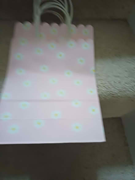 Photo of free Party bags (Felden HP3) #1