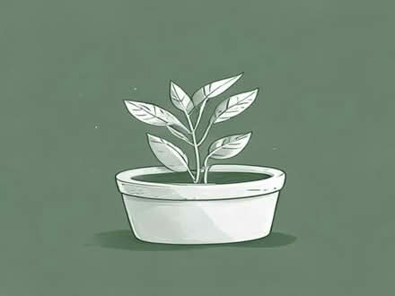 Photo of free Ceramic plant pots (New Malden KT3) #1