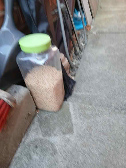 Photo of free Mixed lamp shades./ fish food (L9) #2