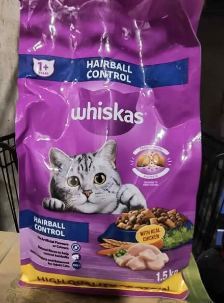 Photo of free Cat food and treats (chicopee) #3