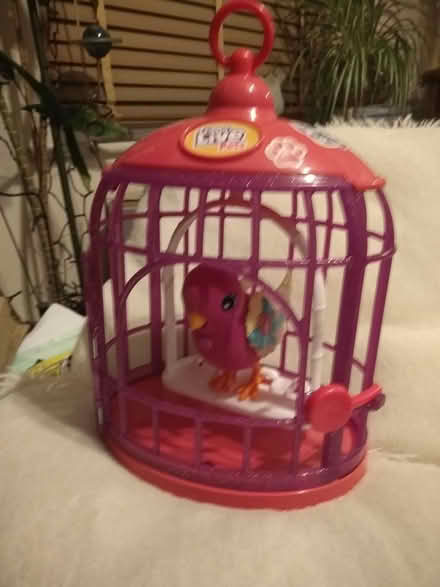 Photo of free Singing bird in cage toy (Poulton CH44) #1