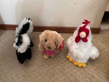 Photo of free Small stuffed animals (east Petaluma) #1
