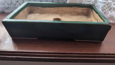 Photo of free Bonsai pot (empty) (St Lukes) #1