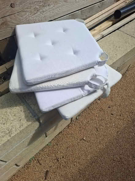 Photo of free 4 ikea dining chair cushions (BA2 Oldfield Park) #1