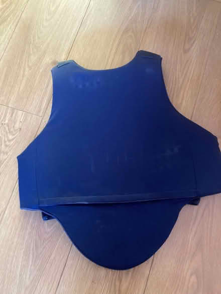 Photo of free Body protector. (Howey LD1) #2