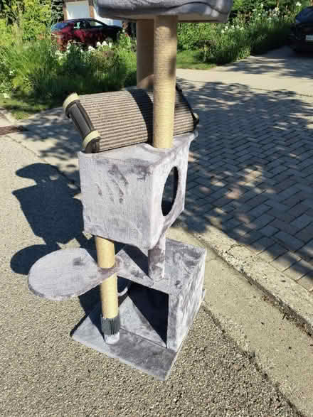 Photo of free Cat tree and scratching pad (chicopee) #1