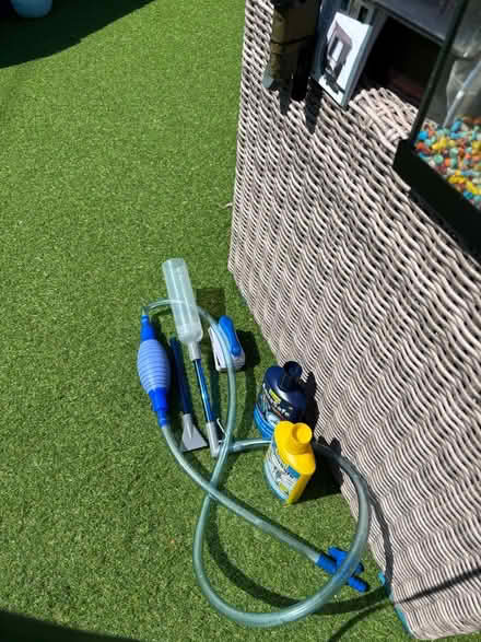 Photo of free Tropical Fish Tank (Worthing BN13) #4