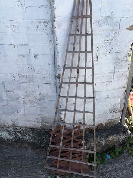 Photo of free Trellis (Dublin4) #1