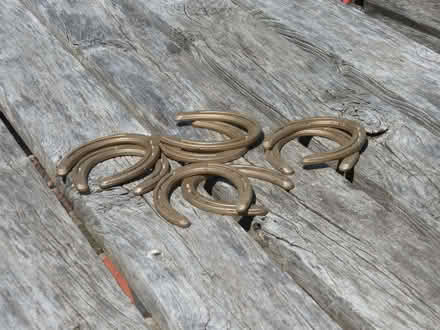 Photo of free Horseshoes (Brownhill SY4) #1