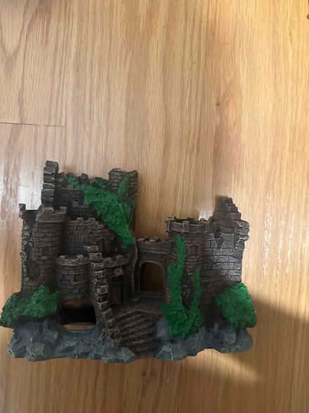 Photo of free Tropical Fish and Castle (Tenleytown) #1