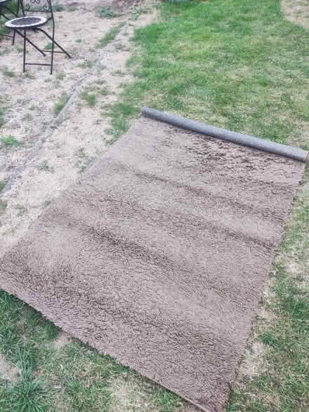 Photo of free Brown rug (Derby) #1