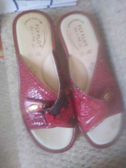Photo of free Size 8 slip ons for house and garden (South Norwood SE25) #1