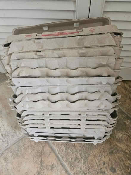 Photo of free 17 cardboard egg cartons (Near the experimental farm) #1
