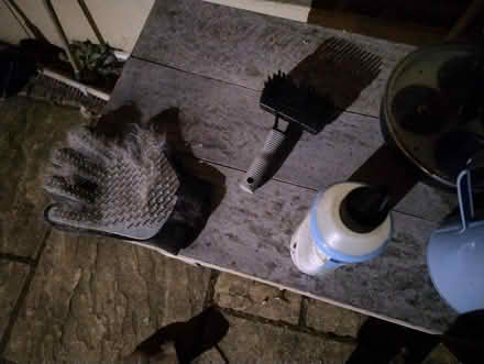 Photo of free Table (Eltham SE9) #2