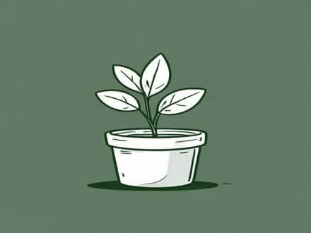 Photo of Smal plant pots (Portslade Village BN41) #1