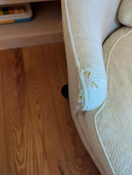 Photo of free 1920s chaise longue/recamier (North Cambridge) #4
