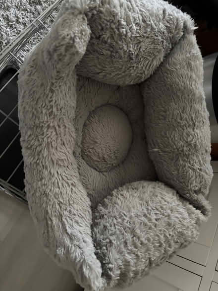 Photo of free Puppy crate & basket (Southborough BR2) #2