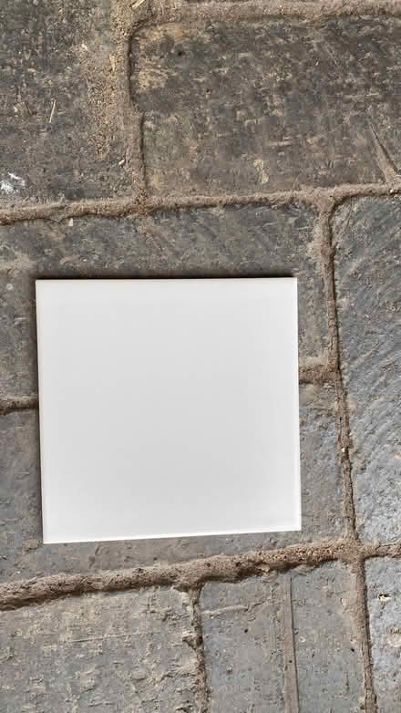 Photo of free White tiles (Perry Vale SE23) #1