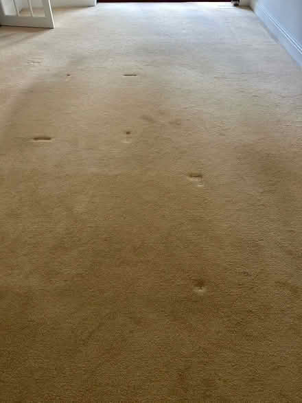 Photo of free Large cream lounge carpet (Ecclesall S11) #3