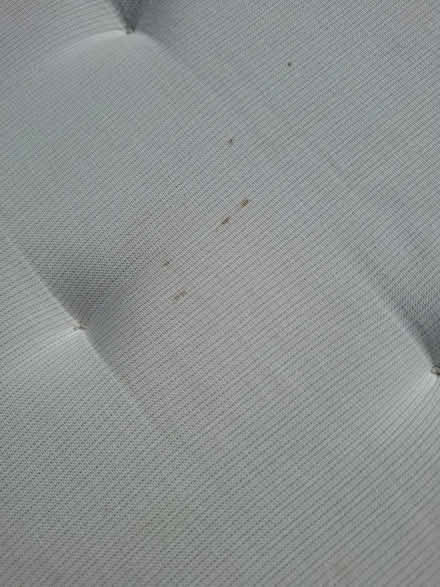 Photo of free 4 ikea dining chair cushions (BA2 Oldfield Park) #2