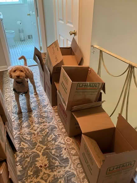Photo of free Book boxes, used once (Chesterbrook) #1