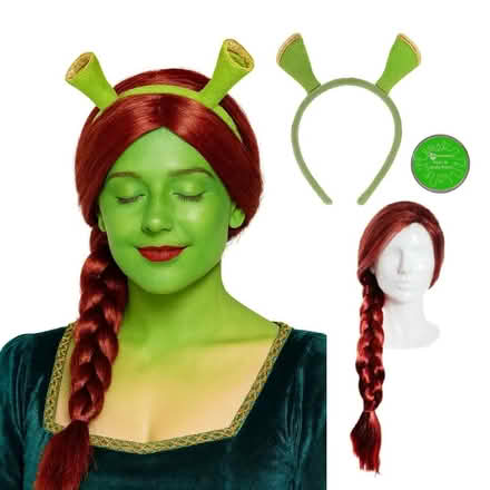 Photo of free Shrek Fiona Fancy Dress (Highgate N6) #1