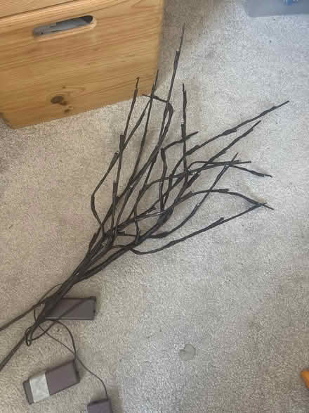 Photo of free Decorative Twigs (Grangetown CF11) #2