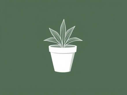 Photo of Garden Pots (Arborfield RG2) #1