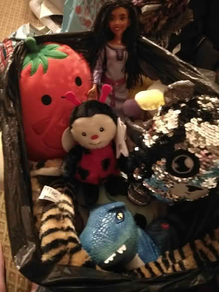 Photo of free bag assorted toys (Poulton CH44) #1