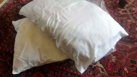 Photo of free Two Pillows (Cricket Road OX4) #1