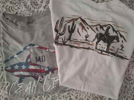 Photo of free Adult medium t-shirts (Odenton) #1