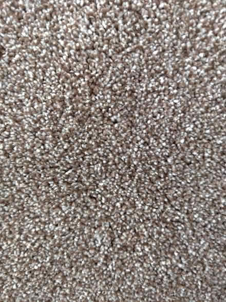 Photo of free Carpet off-cut (new) (Brentwood CM15) #2