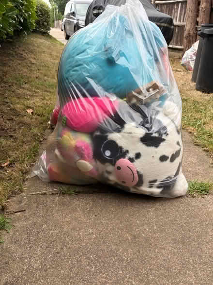 Photo of free Soft toys (Sevenoaks TN13) #1