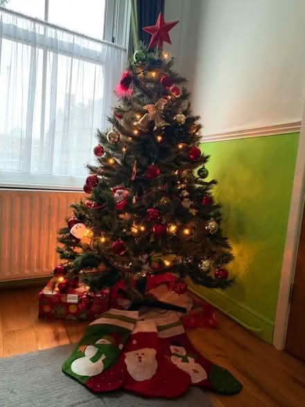 Photo of free Christmas tree (Cb58dt) #2