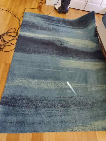 Photo of free Ikea Area rug (Mountain View) #2