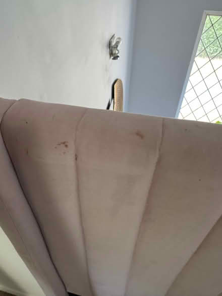 Photo of free Pink single bed (Ore TN35) #3