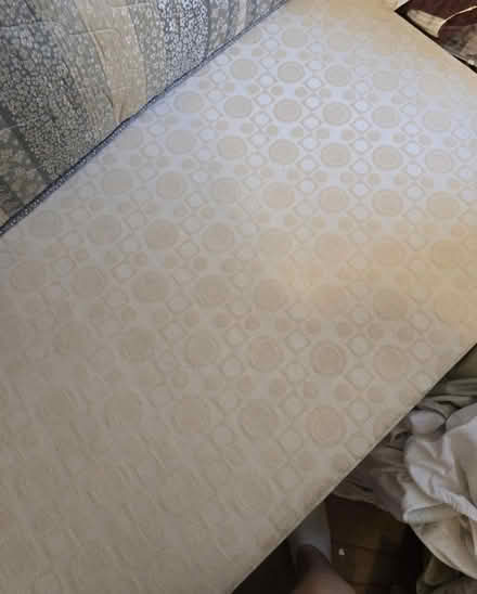 Photo of free Single divan bed base and mattress (St Thomas EX2) #3