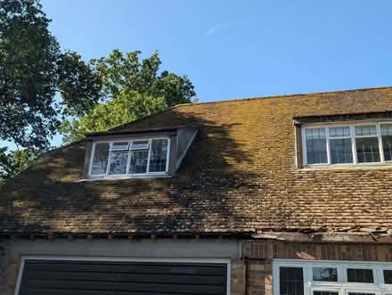 Photo of free Roof Tiles (Wickham PO17) #2