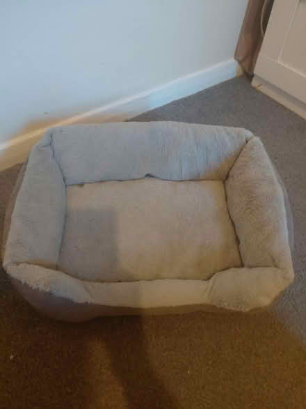 Photo of free Cat bed (Catford SE6) #2