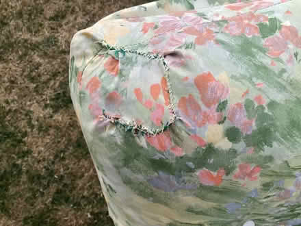 Photo of free Pair of sun, garden recliners (Greater Leys OX4) #3
