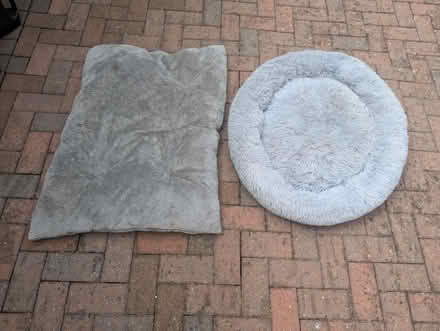 Photo of free Dog /cat house (Dogsthorpe PE1) #3
