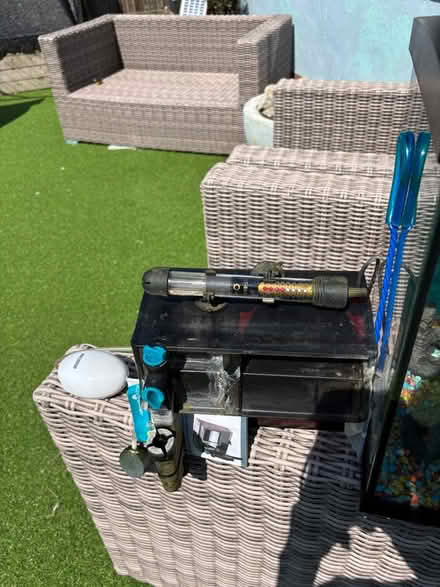 Photo of free Tropical Fish Tank (Worthing BN13) #3