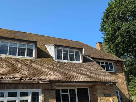 Photo of free Roof Tiles (Wickham PO17) #1
