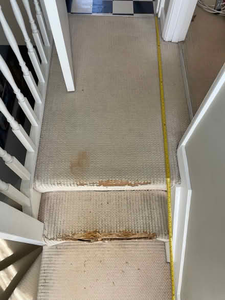 Photo of Carpet (Queen's Park BN2) #1