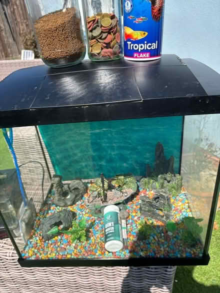 Photo of free Tropical Fish Tank (Worthing BN13) #2