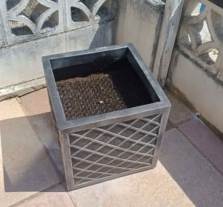 Photo of free 3 Lazzo Planters with compost (Torre TQ2) #3