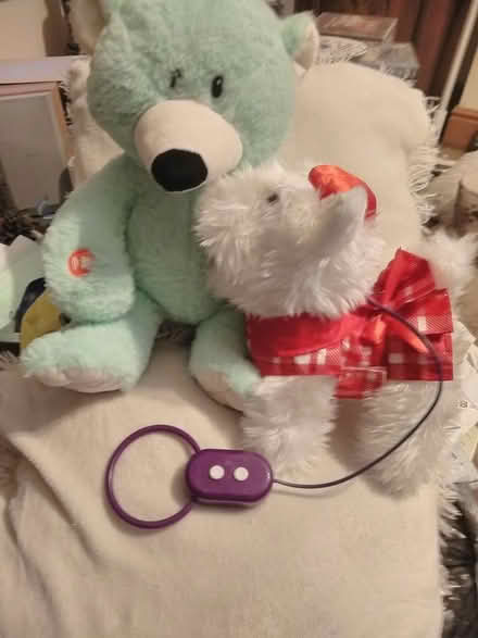 Photo of free kids battery toys x 2 (Poulton CH44) #1