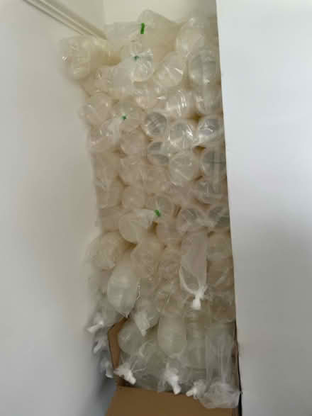 Photo of free Biodegradable food pots (Maldon CM9) #4
